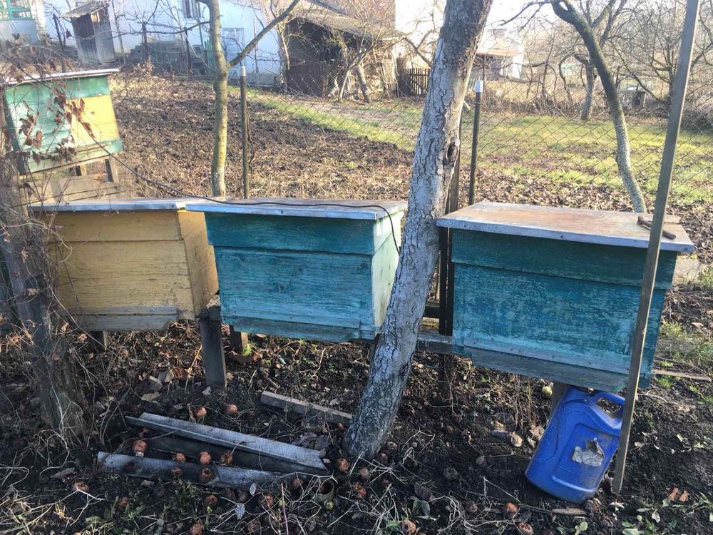 Продам пасічні вулики