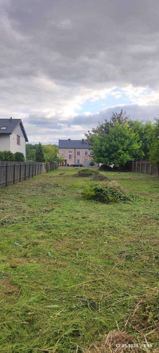 Wycinka drzew, koszenie trawy.Lomianki.Warszawa (działki, ogrody, tra