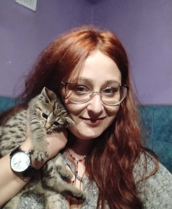 Opieka nad Psem, Kotem, Wyprowadzanie Psów | Certyfikowany petsitter