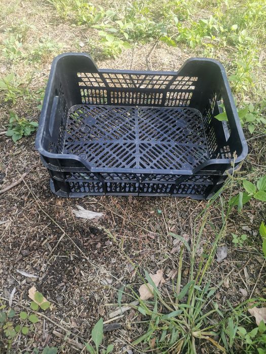 Skrzynki Casi plastikowe, owoce i warzywa