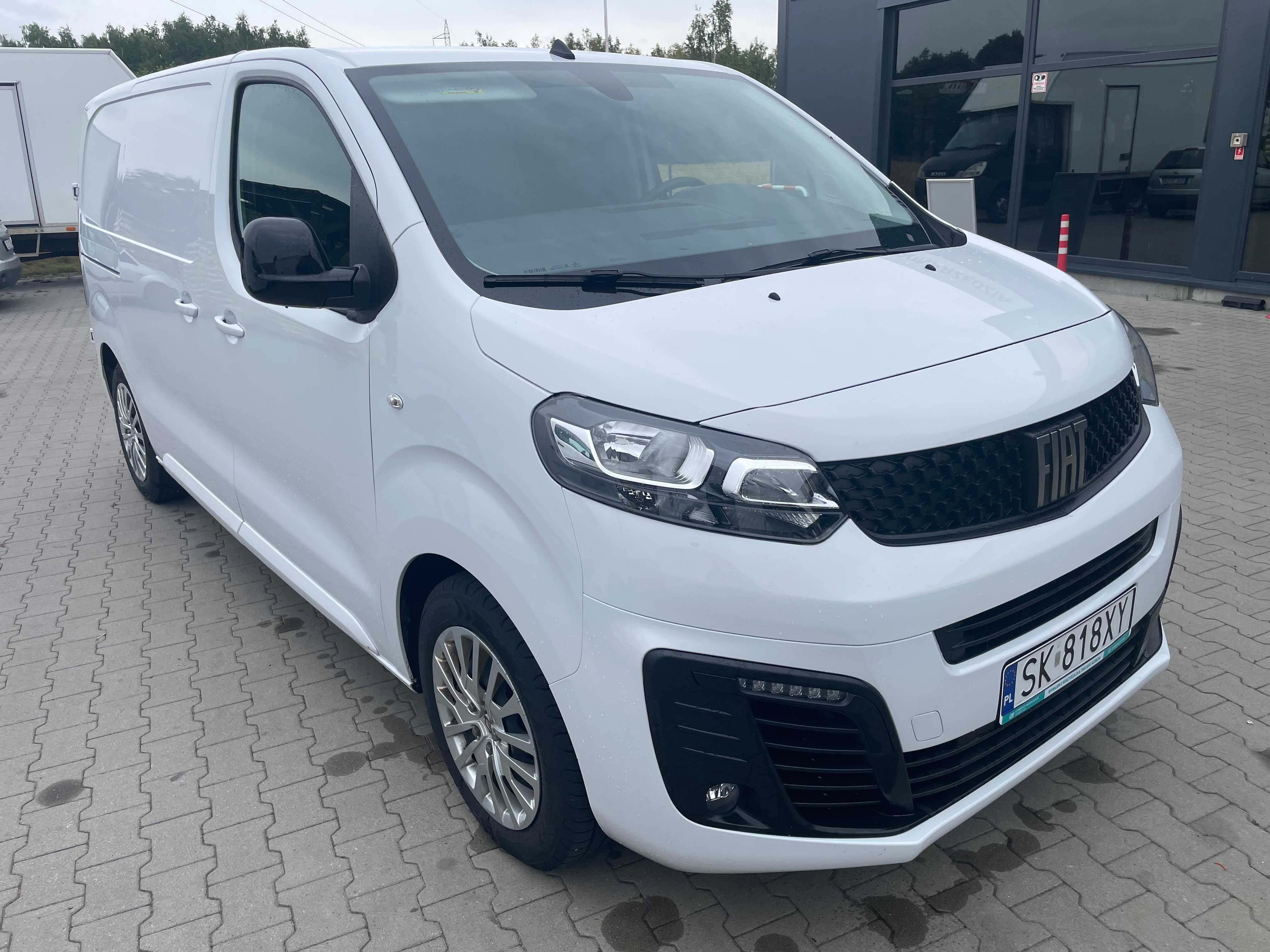 FIAT SCUDO, salon Polska