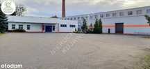 Obiekt handlowo - magazynowy 2048m2 Włocławek Południe
