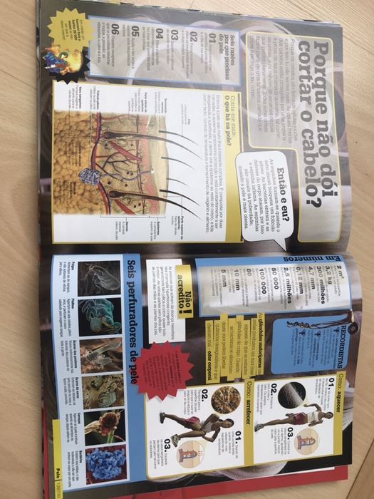 Livro “Eu sei Tudo”