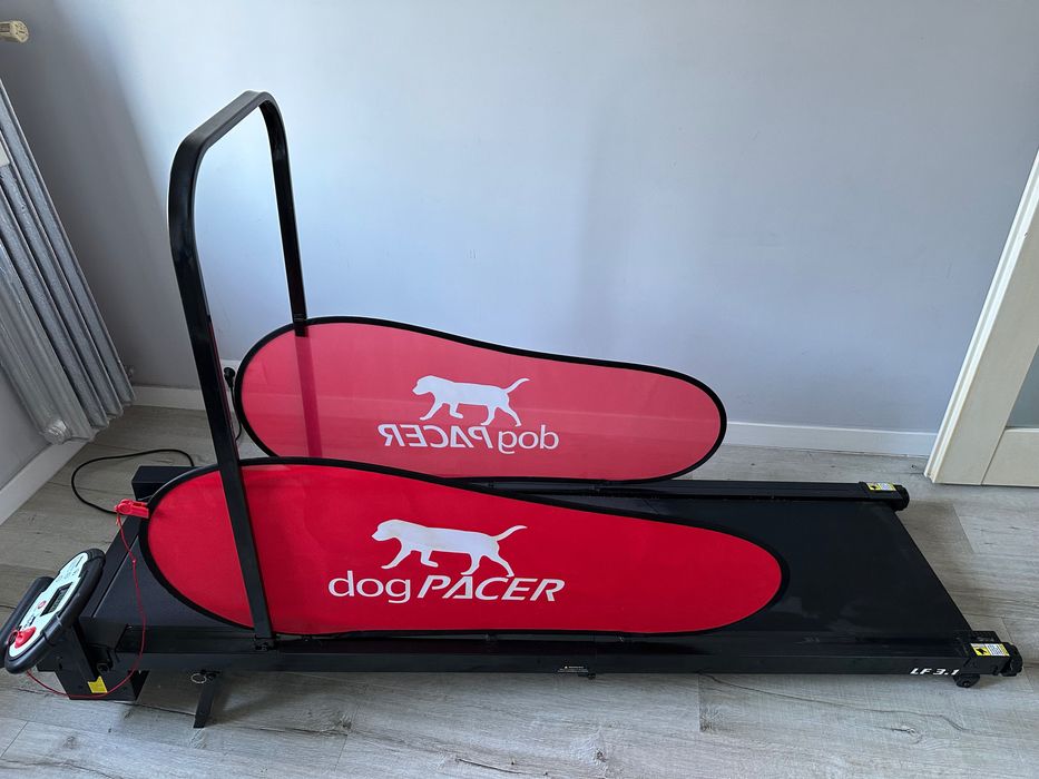 Bieżnia dla psa dogPACER LF 3.1