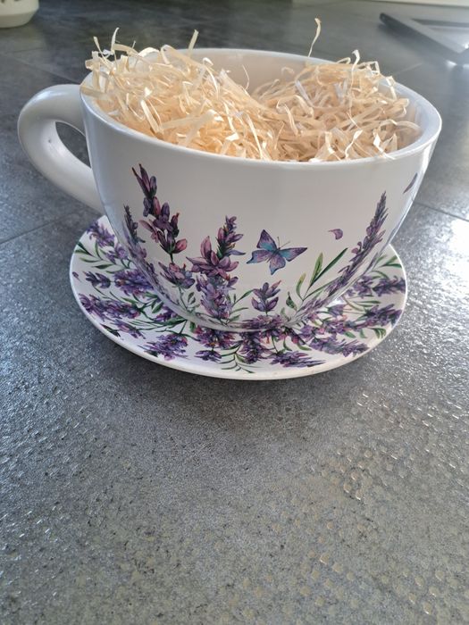 Nowa ogromna filiżanka doniczka , wrzosy