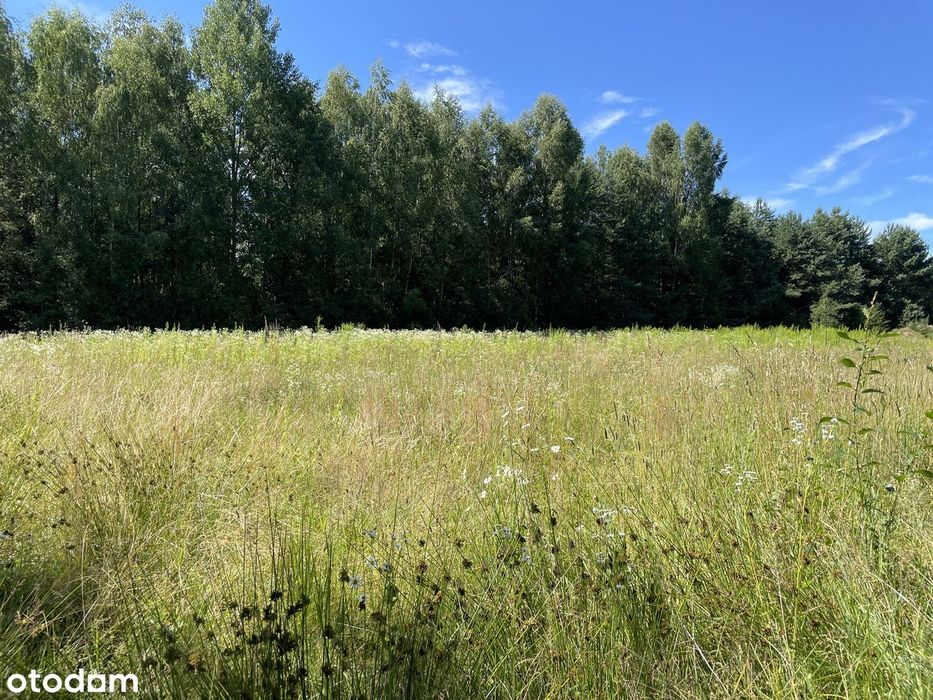 Sprzedam działkę lub dwie działki budowlane 1280 lub 2560m2 HENRYKOWO