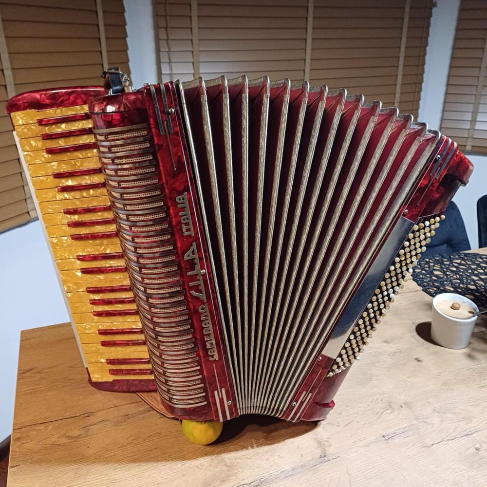 Akordeon włoski sila 120 basów 4/5 chóry