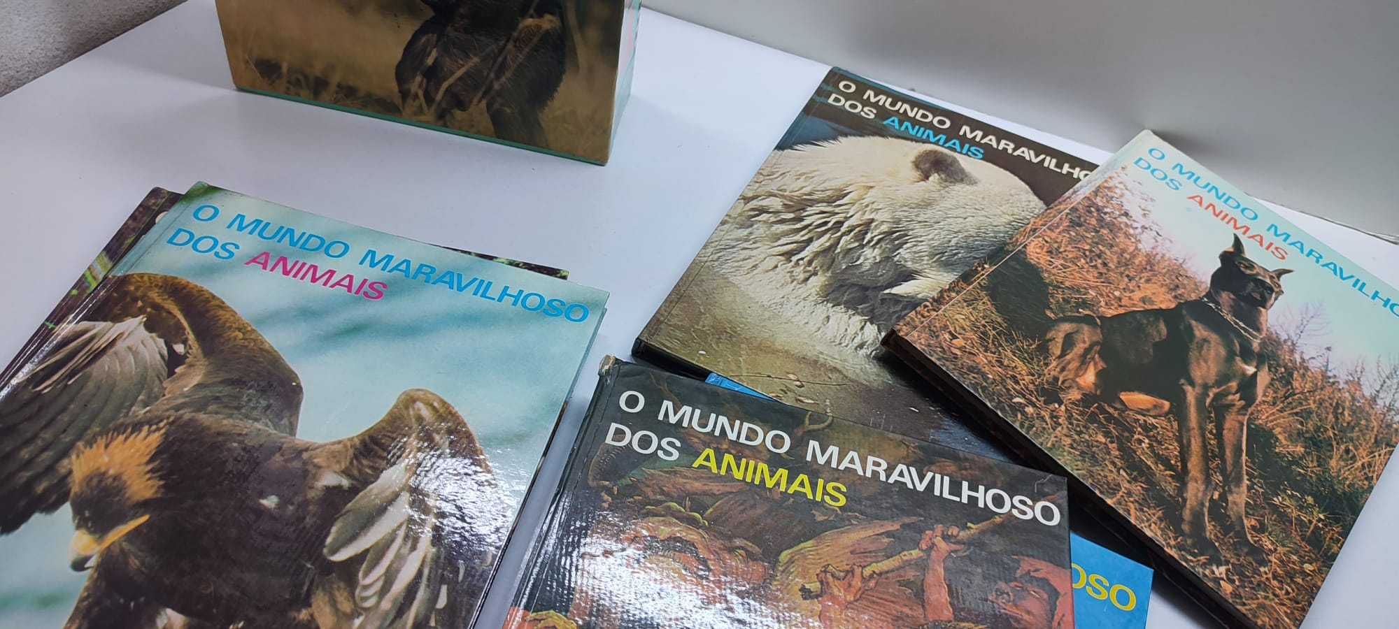 O Mundo Maravilhoso dos Animais (6 Volumes)