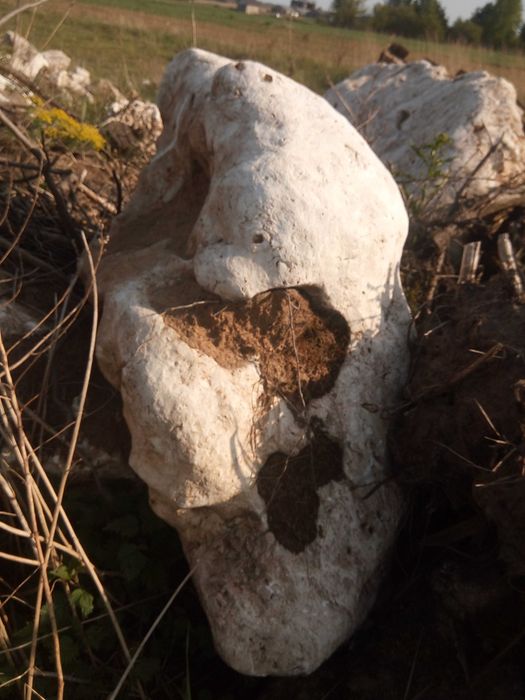 Kamien ogrodowy skalniak oczko wodne altana grill
