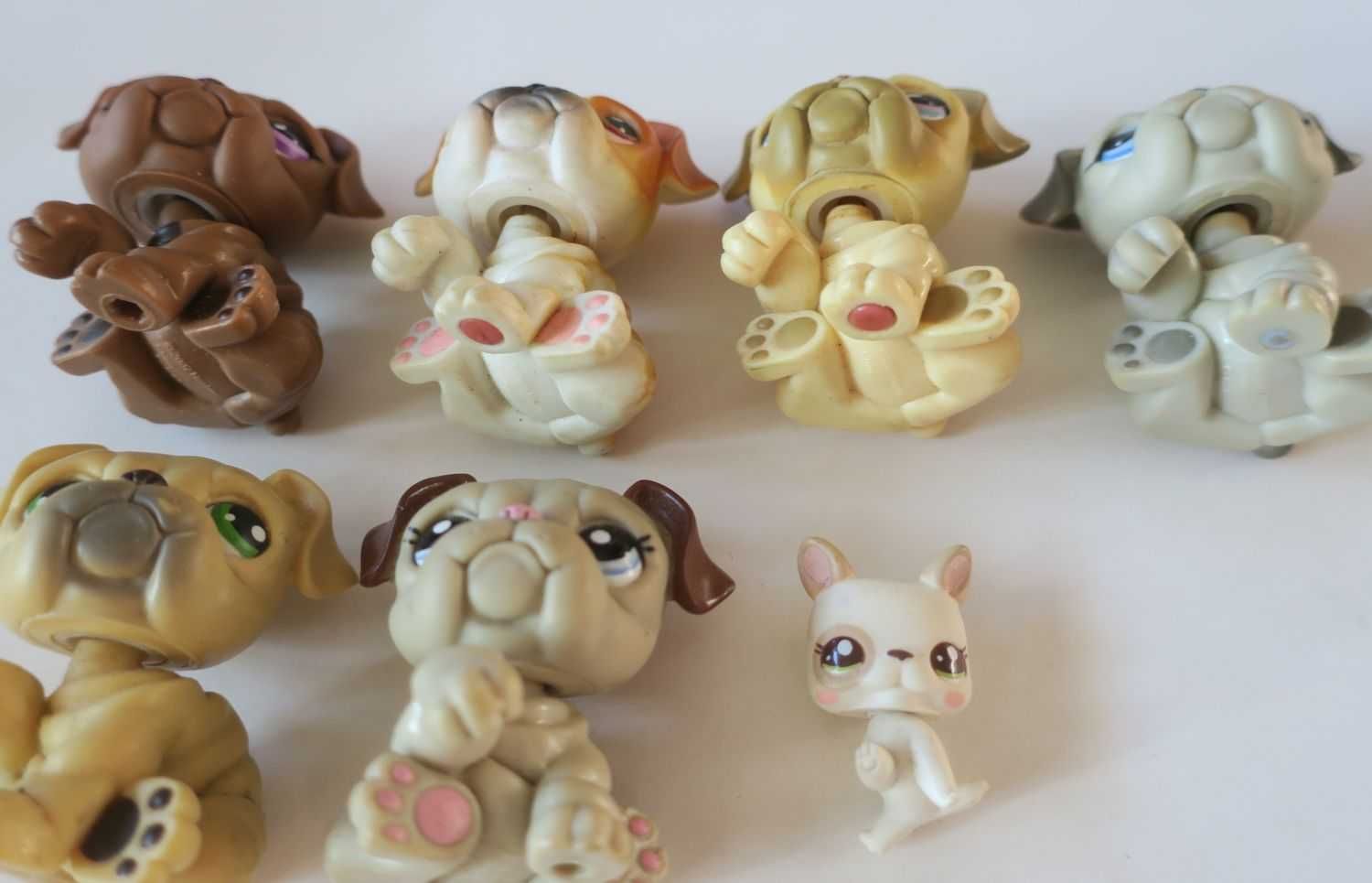 Buldog Littlest Pet Shop lps