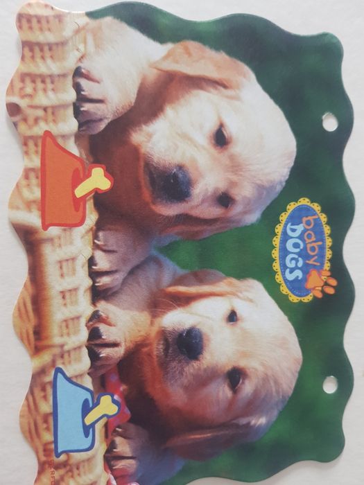 karteczki do segregatora