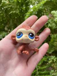 LPS Littlest pet shop małpka #351