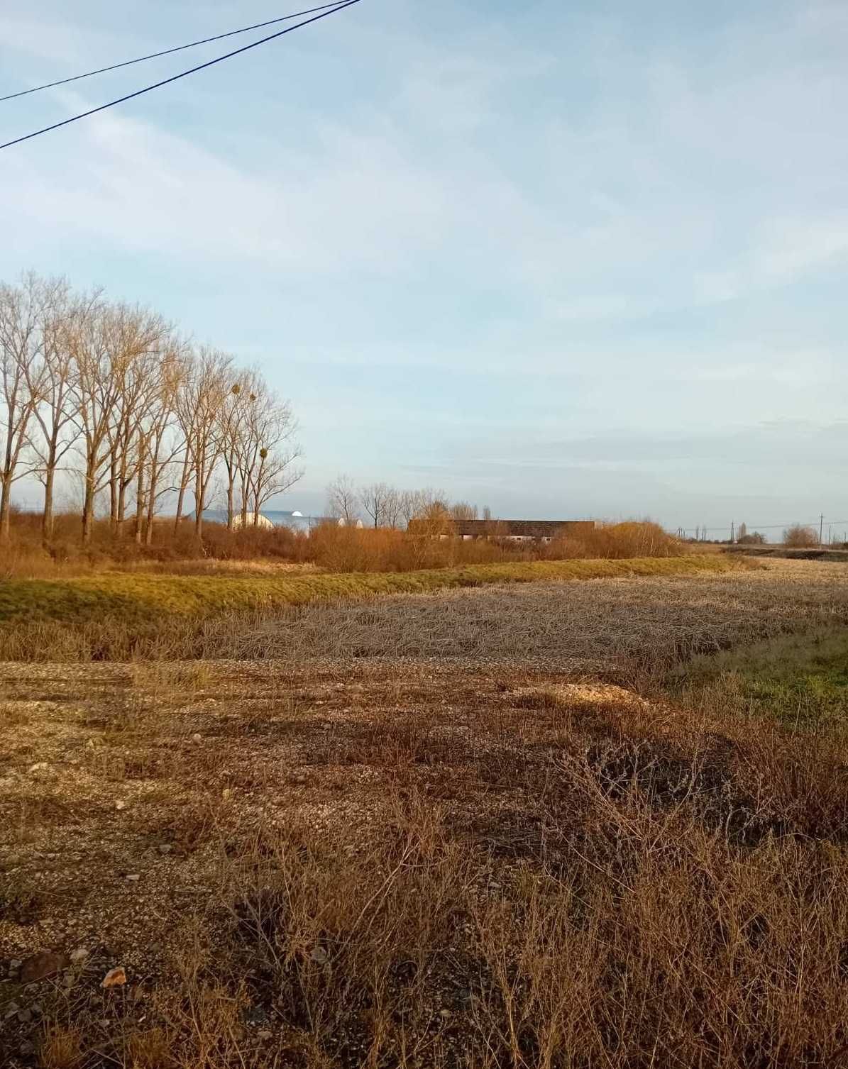 Склад 800 м2 Закарпаття