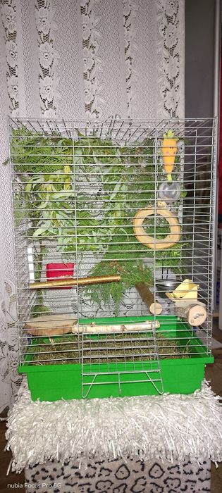 Клітка для пташок