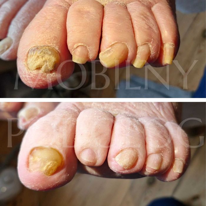 Mobilny Podolog - Gdańsk Pruszcz Gdański i okolice