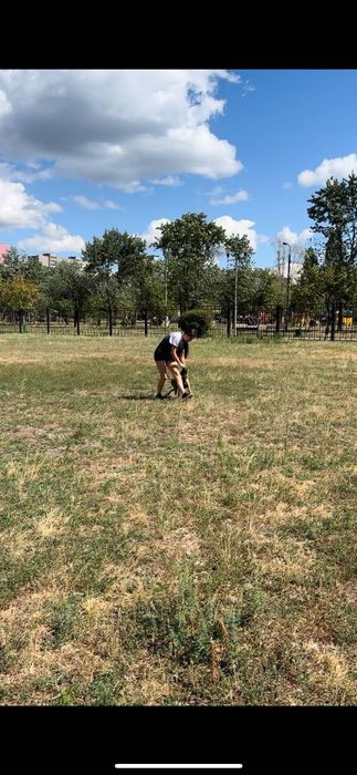 Кінолог Київ Троєщина