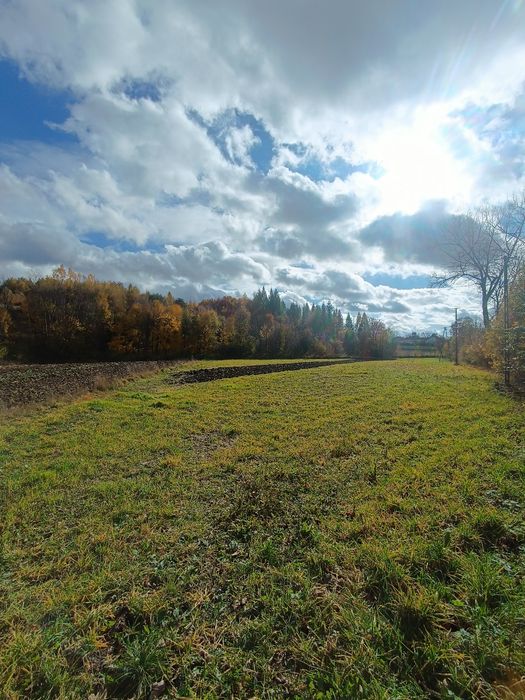 Działka na sprzedaż – Uniejów-Parcela, woj. małopolskie | 69 arów |