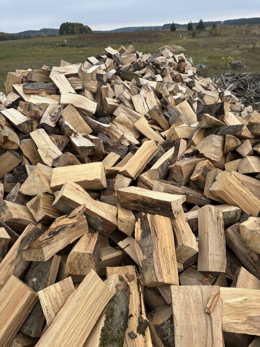 Drewno Kominkowe Buk