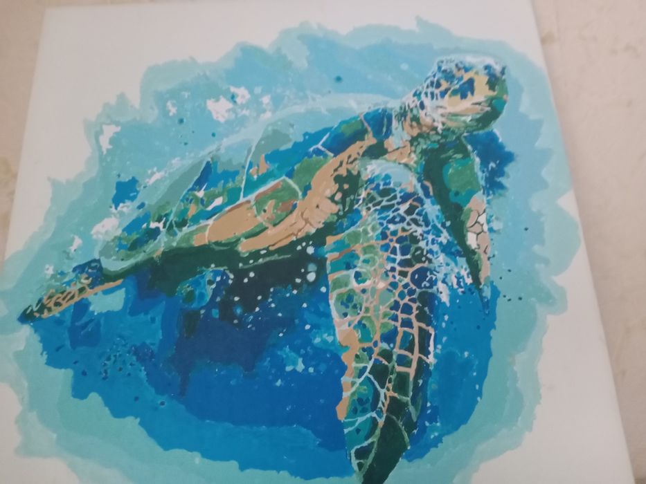 Дві готові картини по номерам