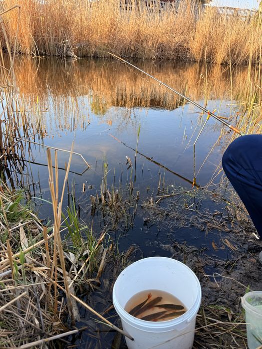 Продам участок у реки в элитном раене !!! ( С )