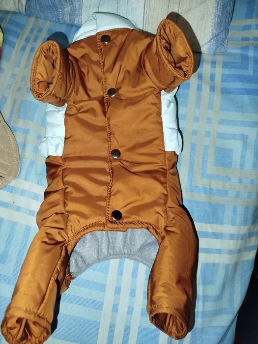 Зимняя одежда для маленьких собакчек