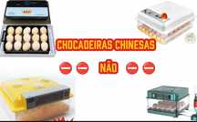 [NOVO] Incubadora/Chocadeira Automática 72 Ovos galinha • Portes Gráti