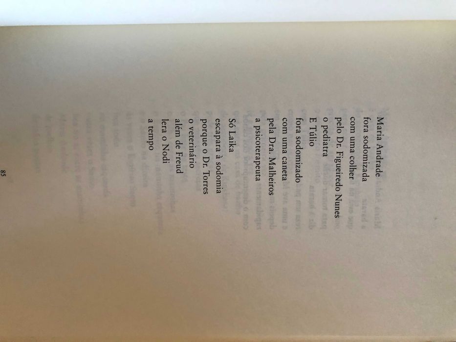 Quem quer casas com a poetisa - Livro Adília Lopes