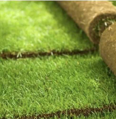 Trawa z rolki, trawnik rolowany PREMIUM trawa w rolce