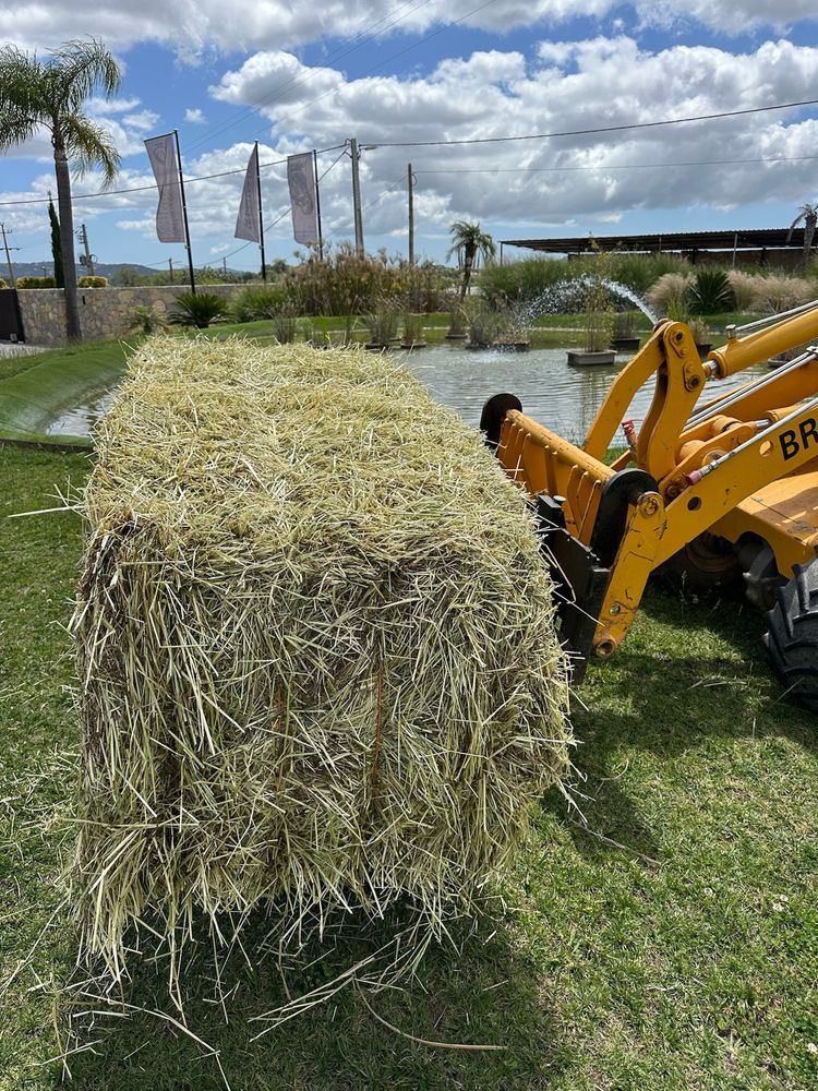 Feno de Azevém de 300 kg de Qualidade Superior