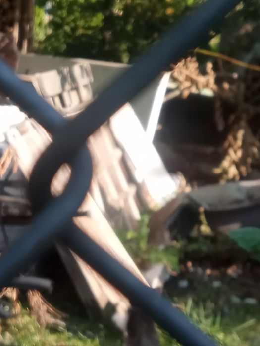 Oddam śliczne  kotki za darmo