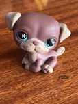 little pet shop #889