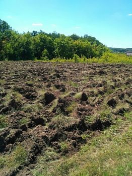 Продам земельну ділянку в Пісочині