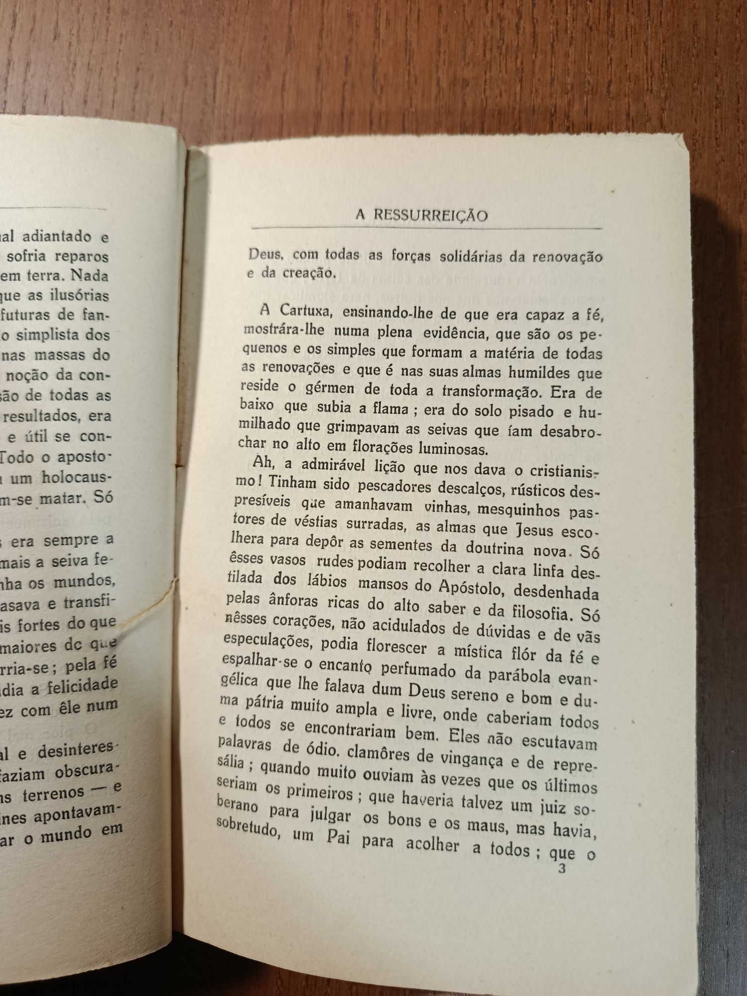 A Ressurreição - Manuel Ribeiro