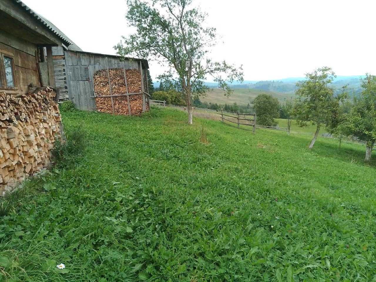 Продаж земельної ділянки 2.1га з житловим будинком, смт Ясіня