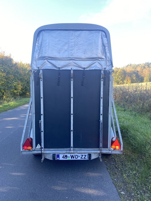 Przyczepa do przewozu koni MARO DMC 1300kg