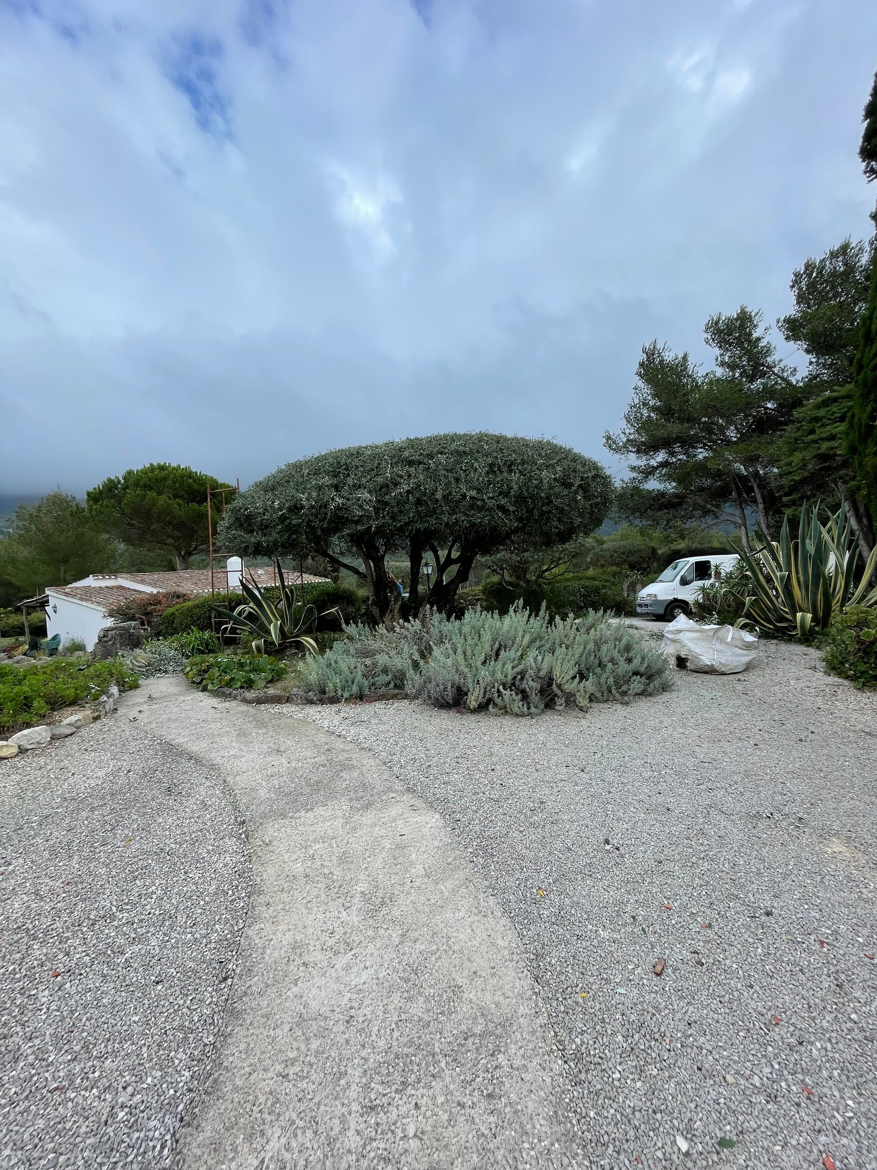 Serviços de jardinagem, jardineiro, poda e abate de árvores