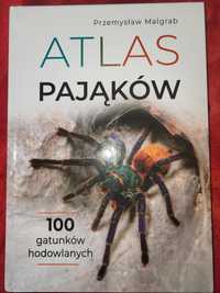 Atlas pajakąków Przemysław Malgrab