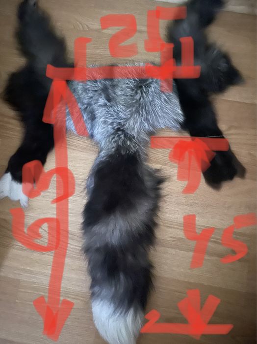 продам шкурку песца, цена 280 грн длина хвоста со спинкой 65 си