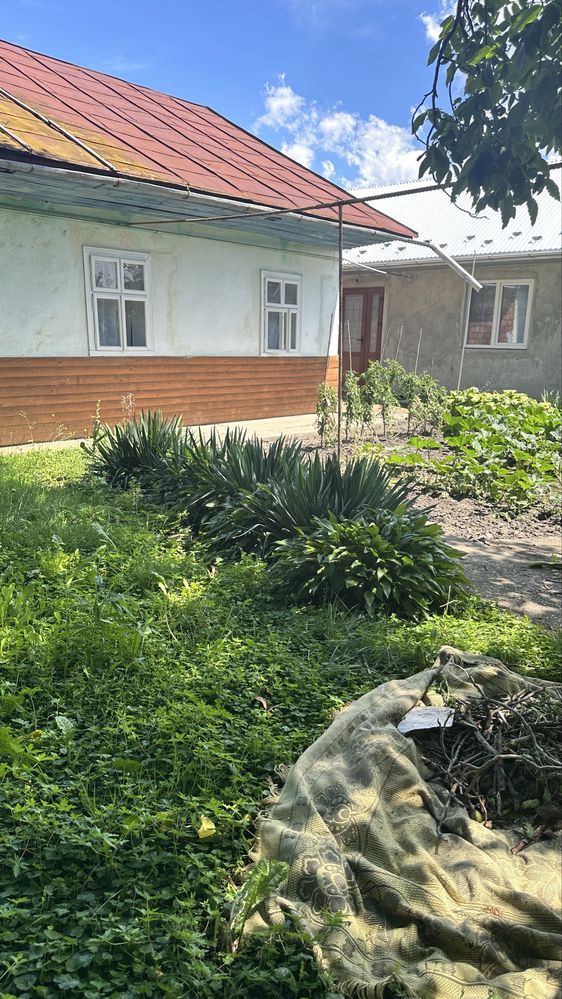 Продам господарство в Лужанах