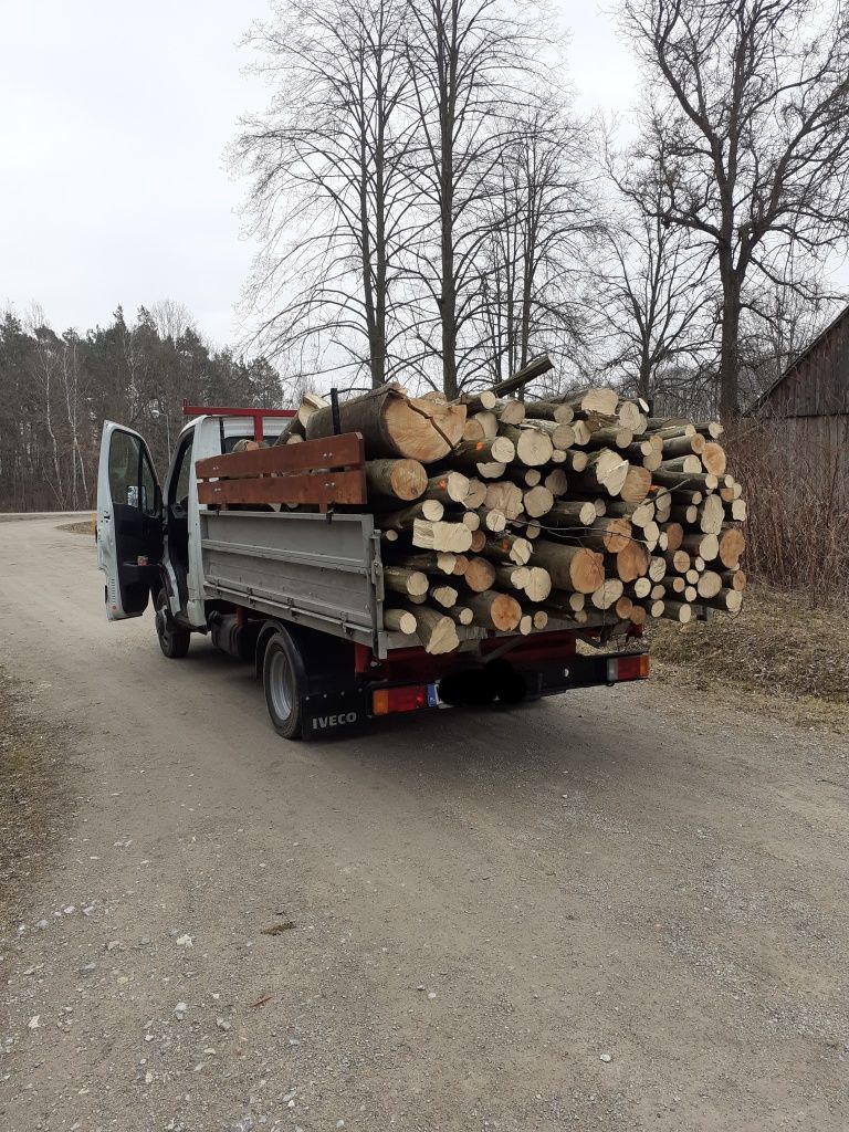 Usługi transportowe Hds bus drzewo (dźwig, piach) + wywrotka 3 stronna