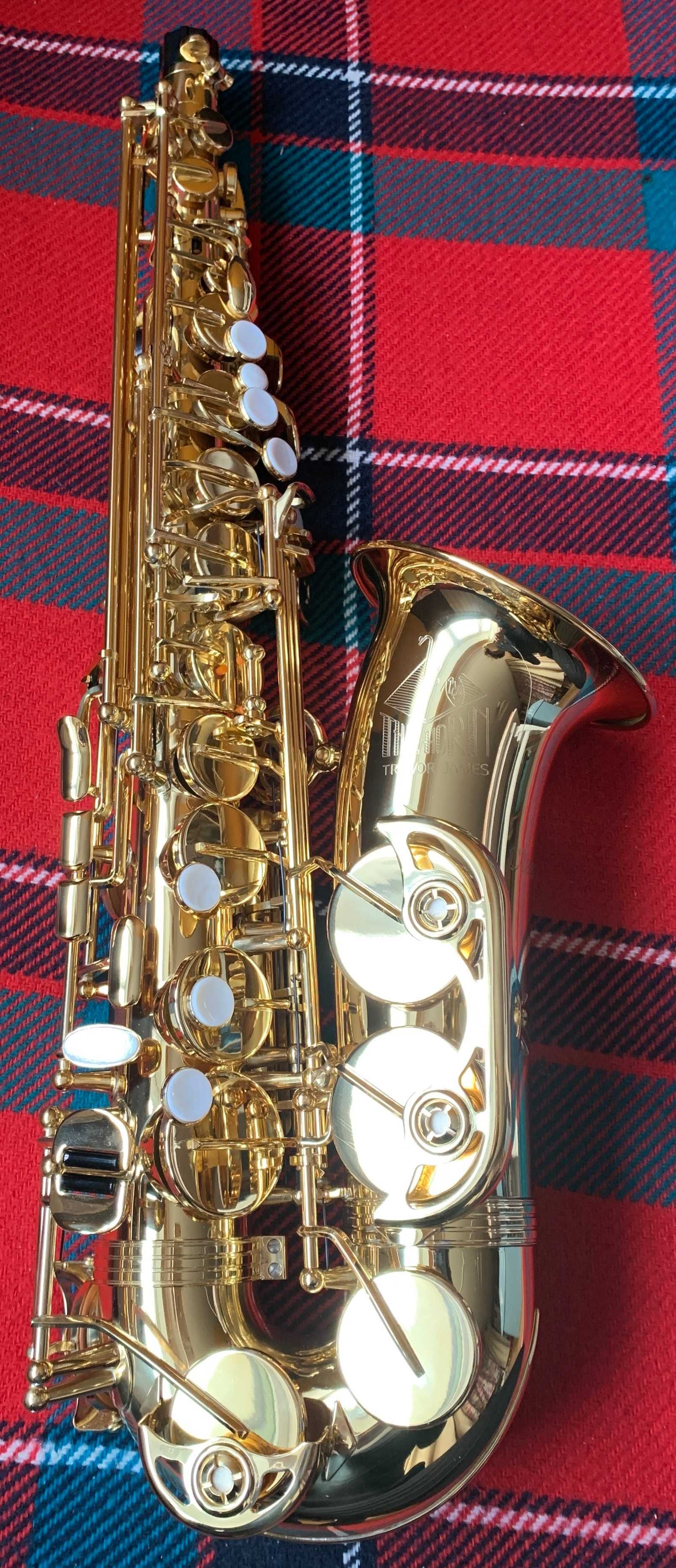 Saksofon altowy Trevor James Classic II