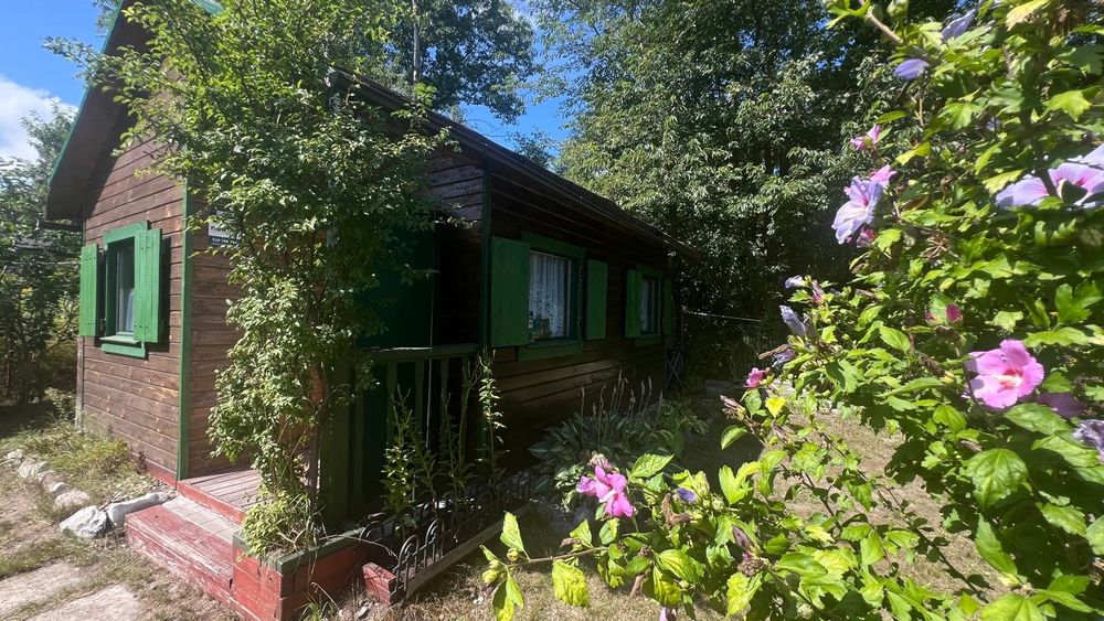 Ogródek działkowy Kochlowice