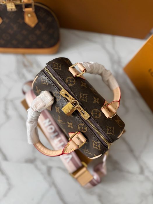 Сумка жіноча Louis Vuitton Speedy 20 Луи Витон женская сумочка спиди