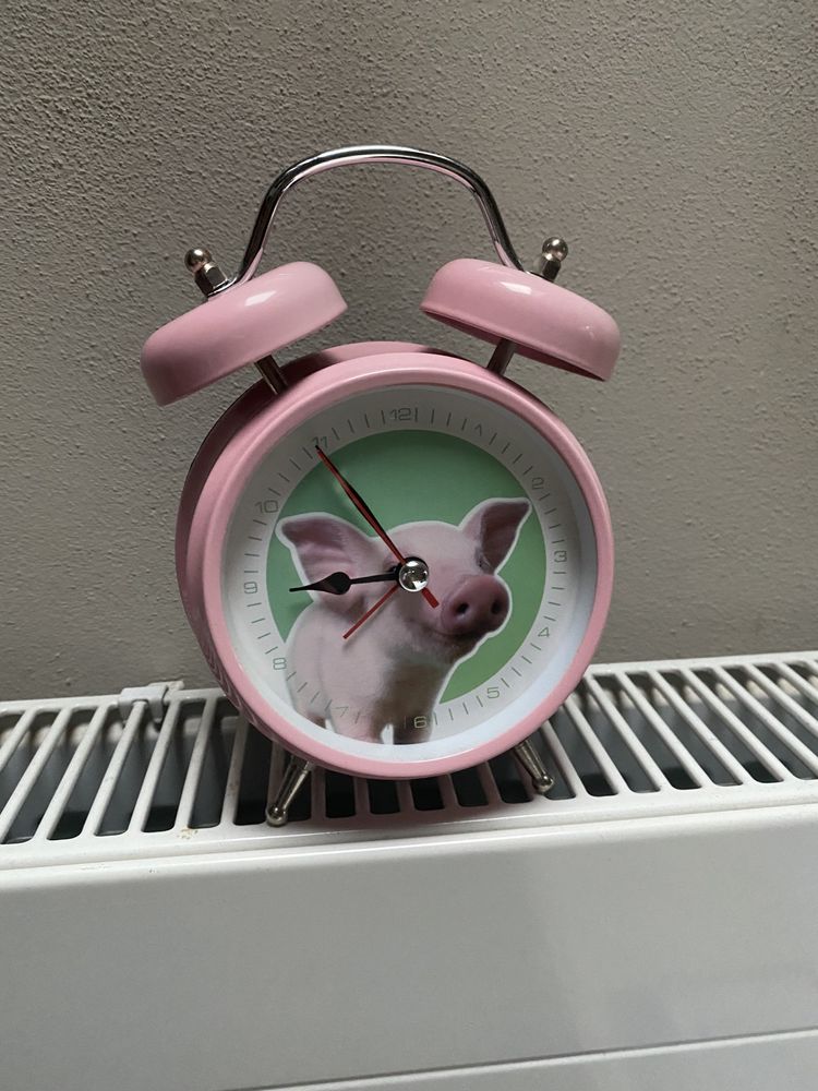 Zegar różowy świnka