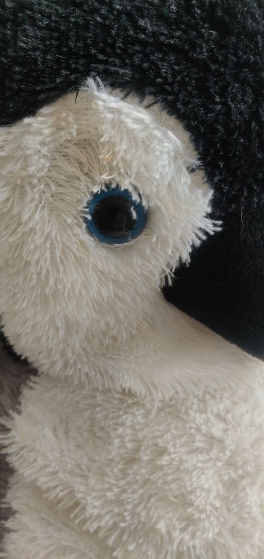 Peluche Pinguim Grande