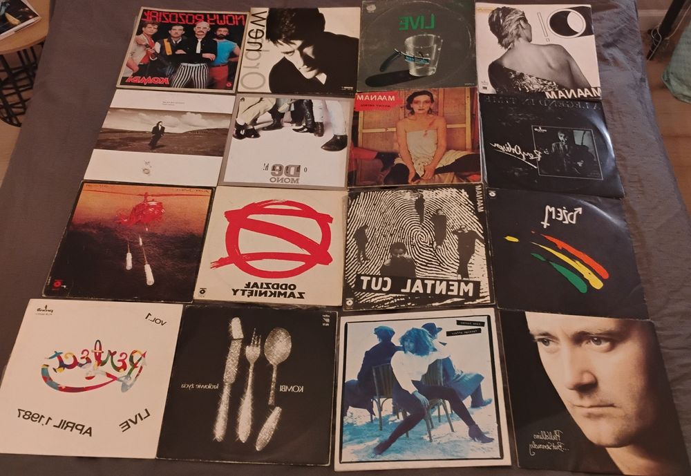 Płyty Winylowe prywatną kolekcja