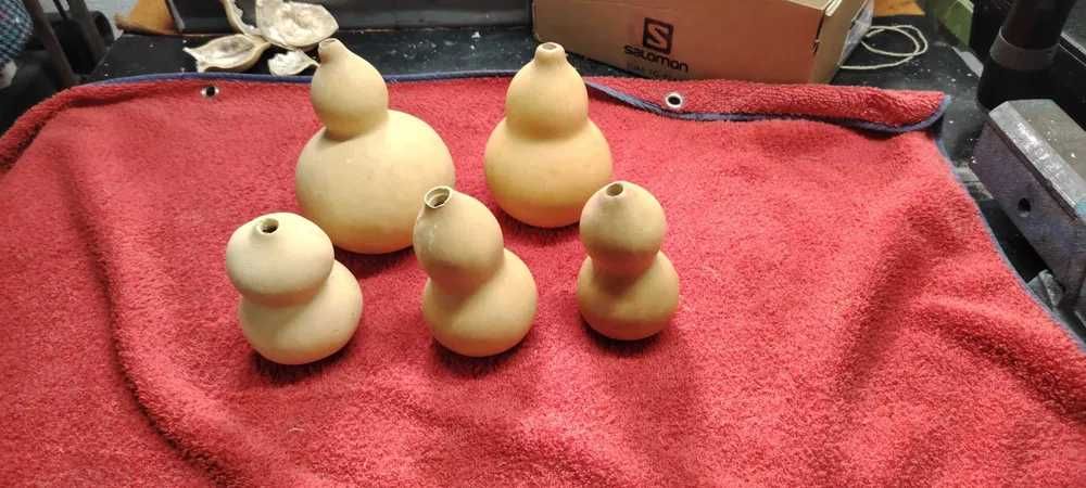 Cabaças por secar e meias secas