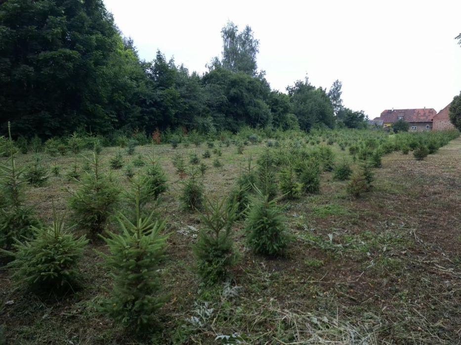 Działka budowlana 15 arowa.