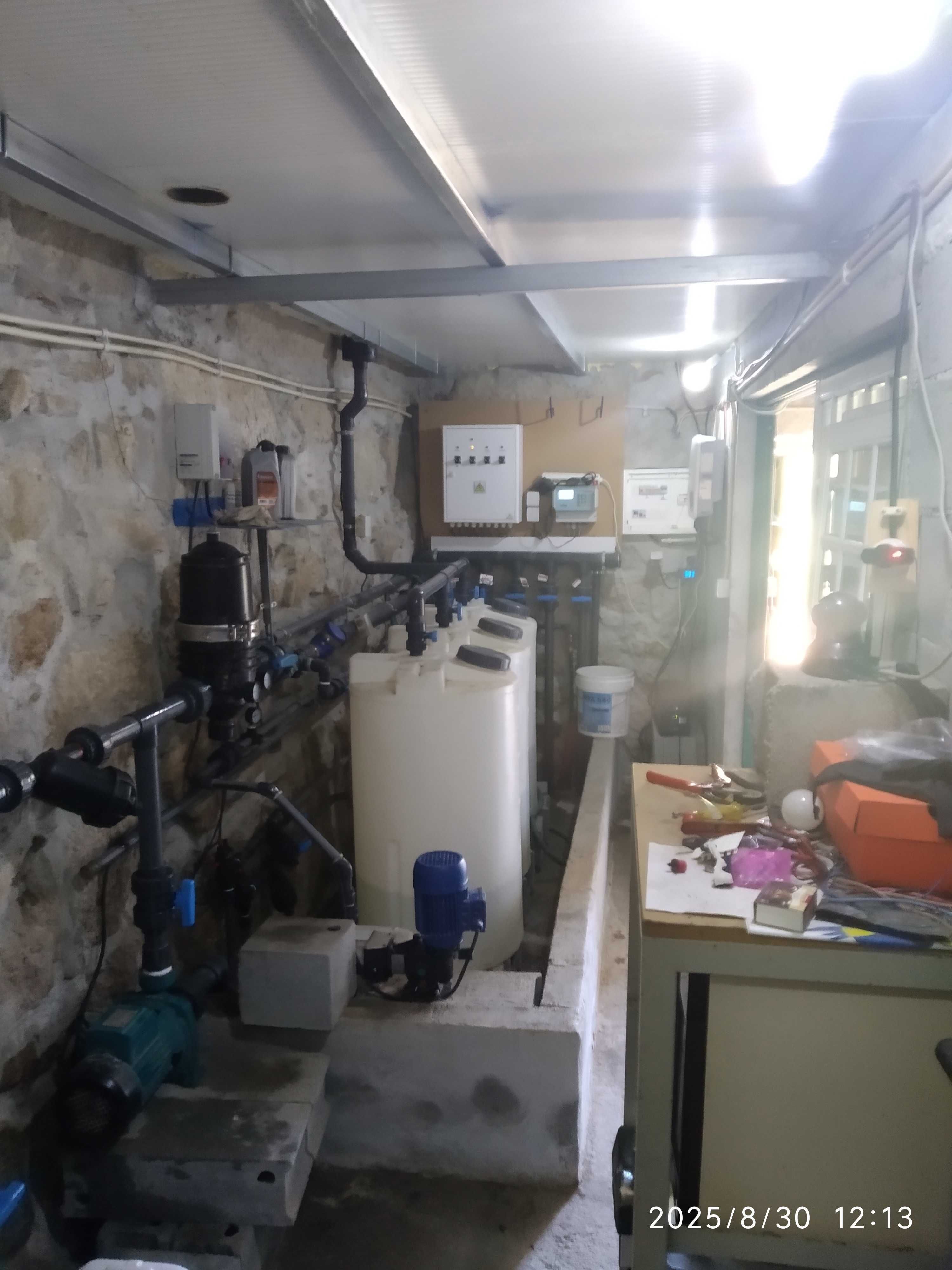 Quinta com mirtilos e oliveiras