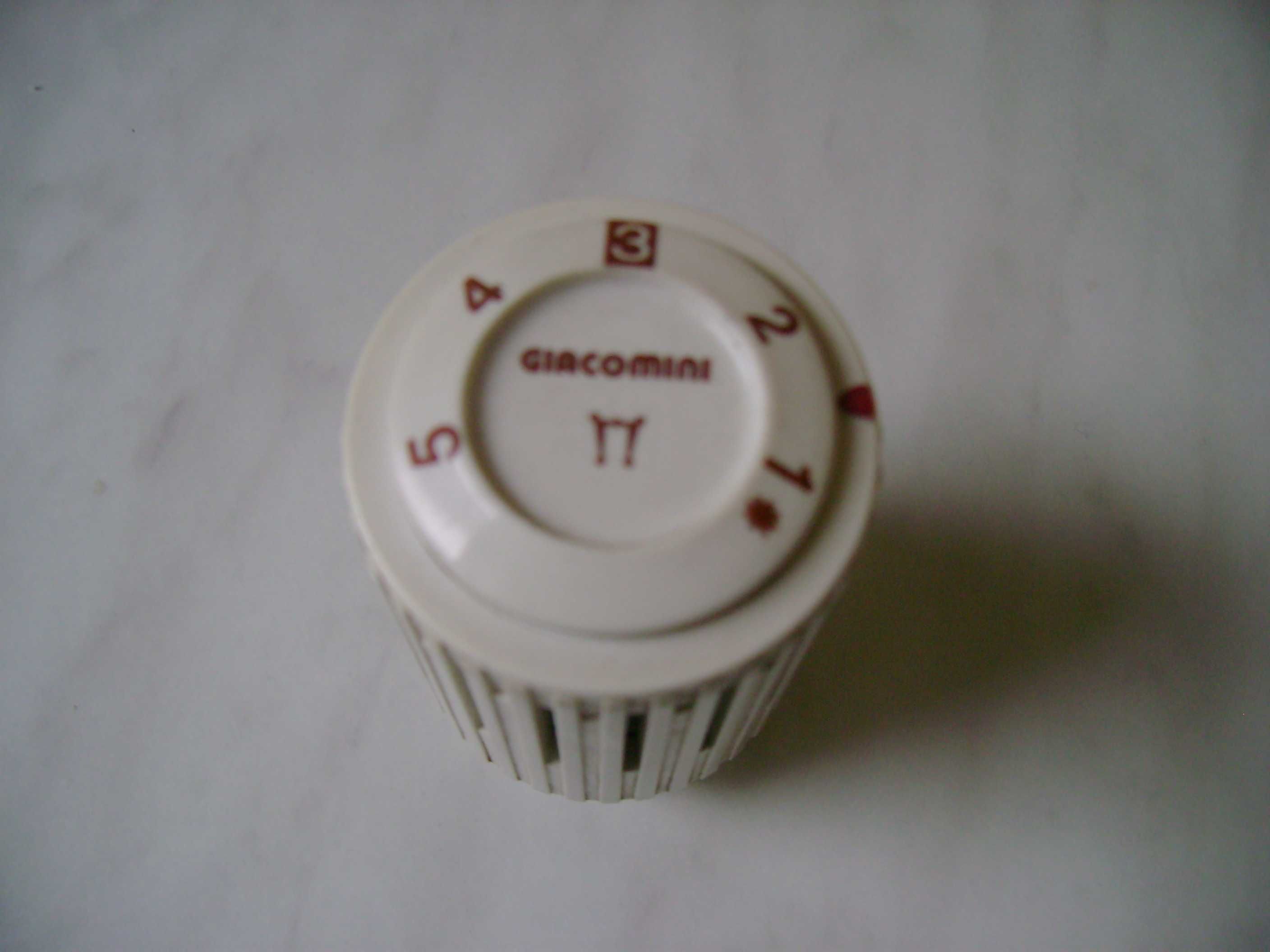 Głowica termostatyczna Giacomini